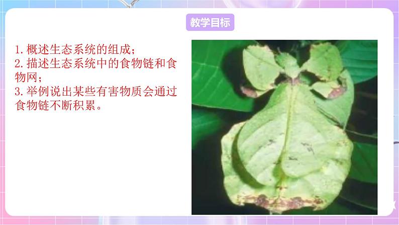 苏教版生物八上 7.19.1《生态系统的组成》课件+学案+练习（原卷版+解析卷）02