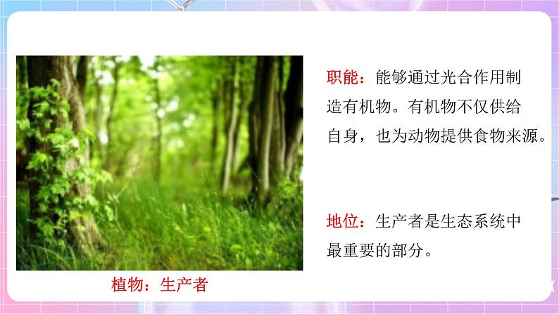 苏教版生物八上 7.19.1《生态系统的组成》课件+学案+练习（原卷版+解析卷）06