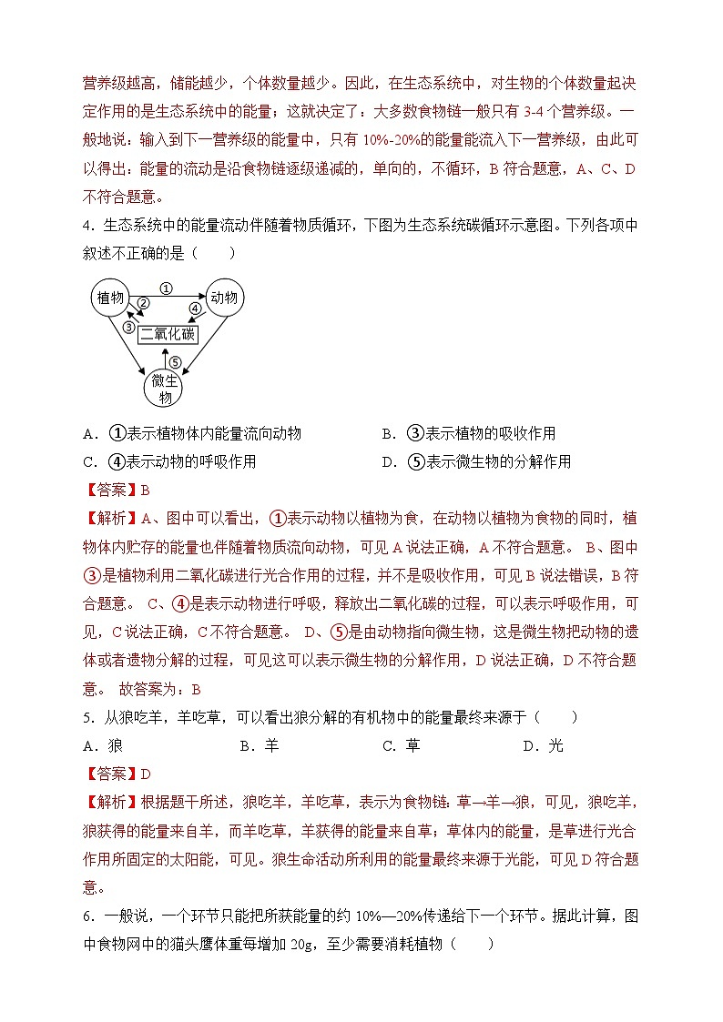 苏教版生物八上 7.19.2《生态系统中的能量流动和物质循环》课件+学案+练习（原卷版+解析卷）02