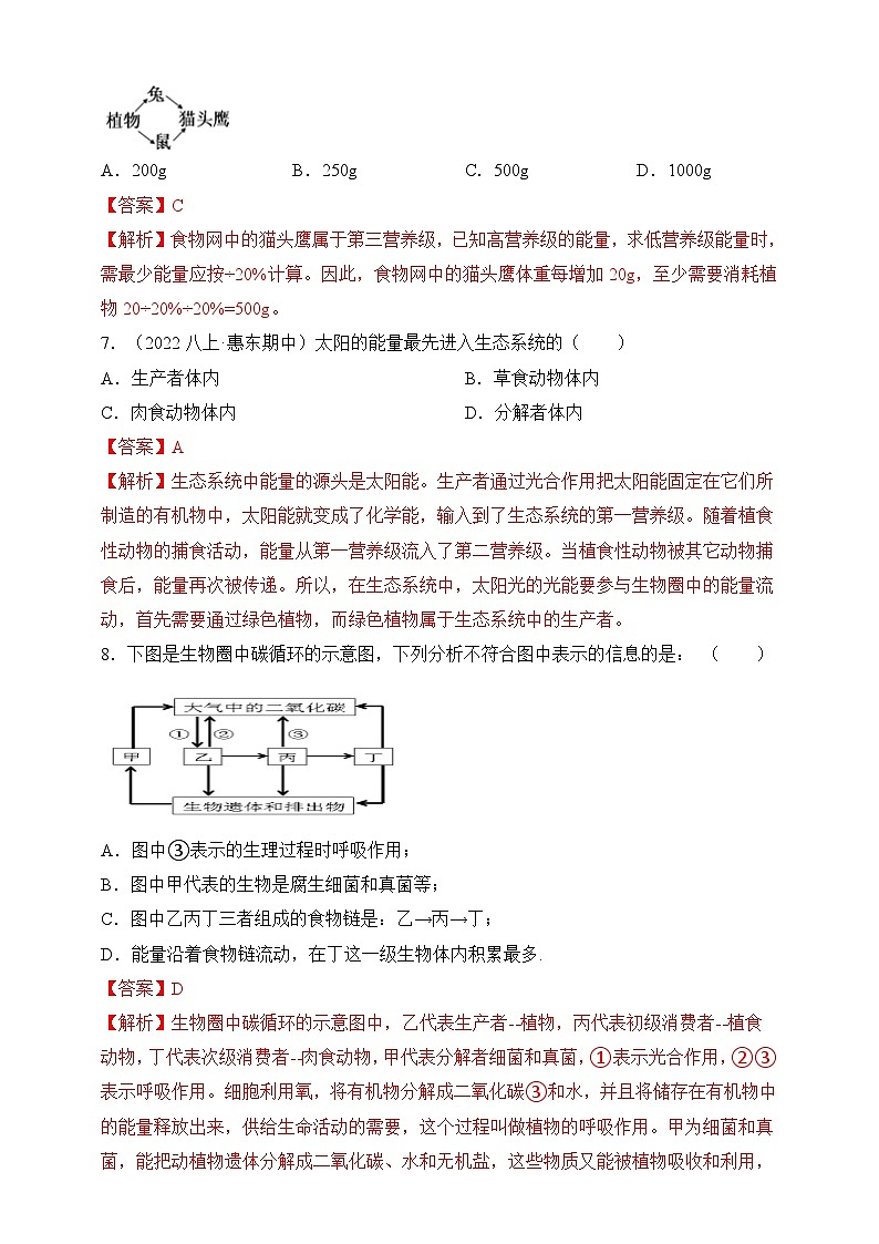 苏教版生物八上 7.19.2《生态系统中的能量流动和物质循环》课件+学案+练习（原卷版+解析卷）03