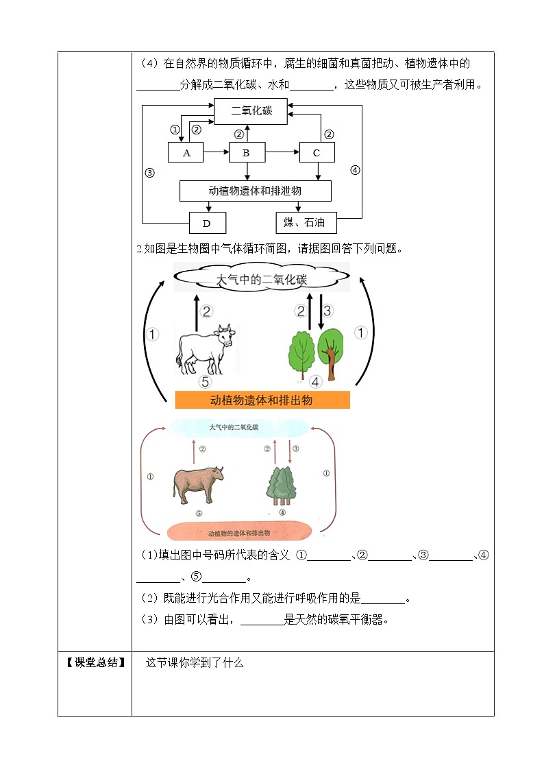 苏教版生物八上 7.19.2《生态系统中的能量流动和物质循环》课件+学案+练习（原卷版+解析卷）02
