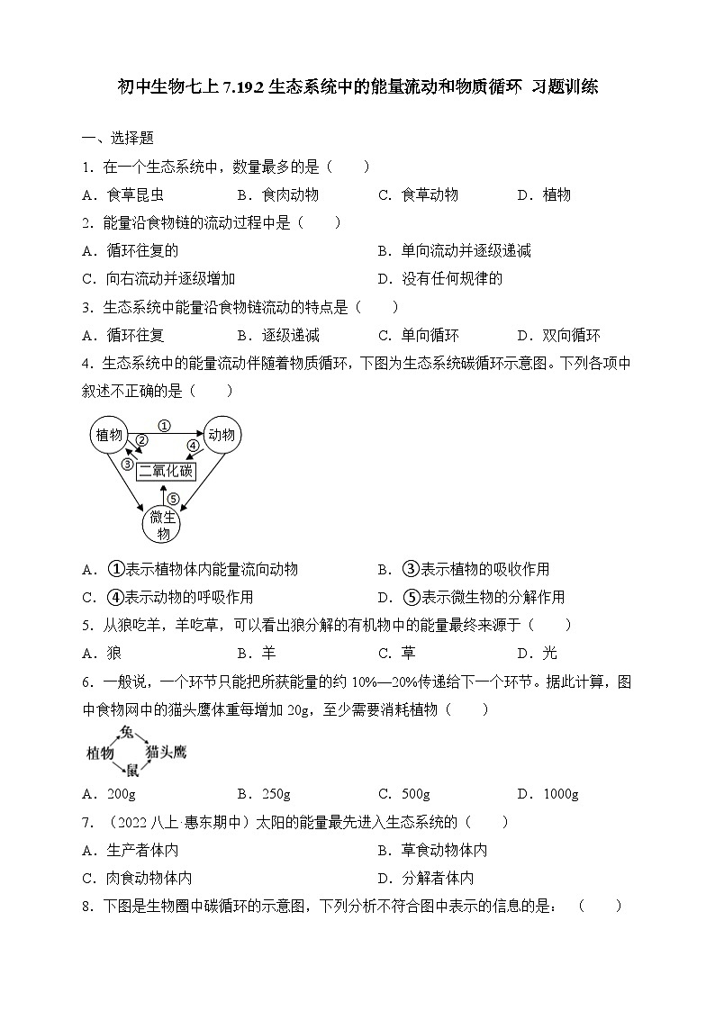 苏教版生物八上 7.19.2《生态系统中的能量流动和物质循环》课件+学案+练习（原卷版+解析卷）01
