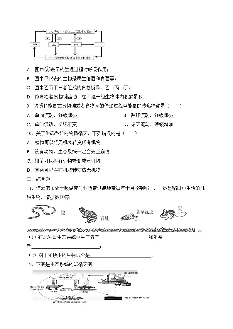 苏教版生物八上 7.19.2《生态系统中的能量流动和物质循环》课件+学案+练习（原卷版+解析卷）02