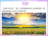 苏教版生物八上 7.19.2《生态系统中的能量流动和物质循环》课件+学案+练习（原卷版+解析卷）