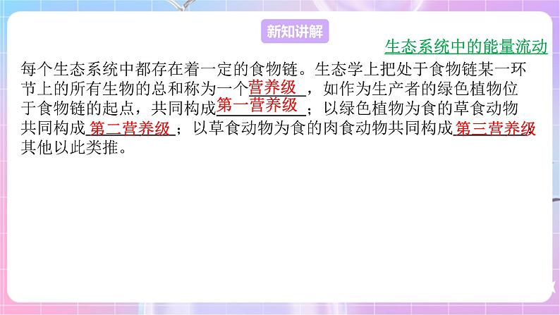 苏教版生物八上 7.19.2《生态系统中的能量流动和物质循环》课件+学案+练习（原卷版+解析卷）04