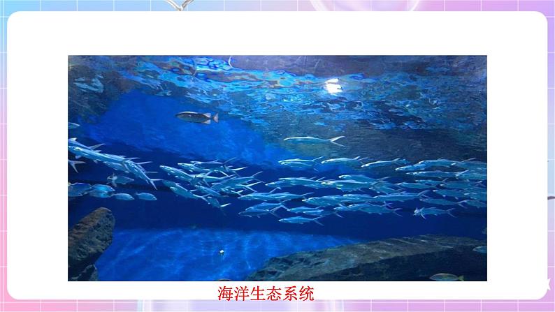 苏教版生物八上 7.20.1《生物圈中的各种生态系统》课件+学案+练习（原卷版+解析卷）05