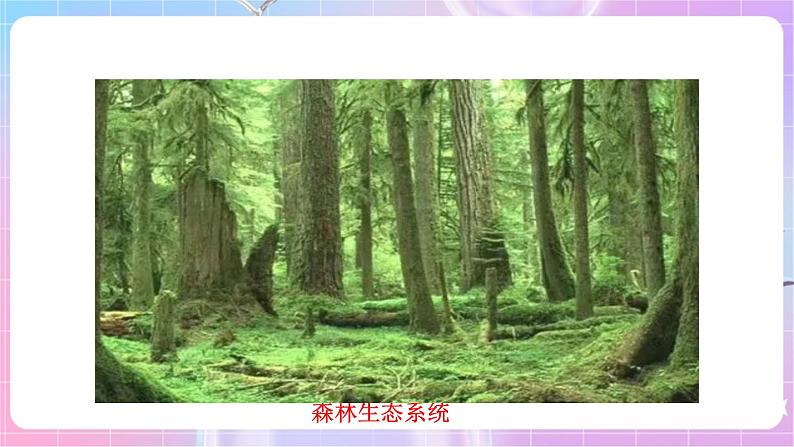 苏教版生物八上 7.20.1《生物圈中的各种生态系统》课件+学案+练习（原卷版+解析卷）07