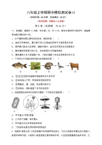 苏教版生物八上 期中测试卷（范围：八上全册）01（原卷版+解析卷）