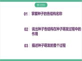 冀少版生物八上 3.1.1《种子萌发的过程》课件