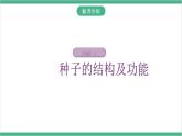 冀少版生物八上 3.1.1《种子萌发的过程》课件