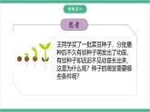 冀少版生物八上 3.1.2《种子萌发的条件》课件