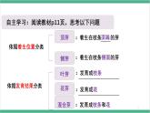 冀少版生物八上 3.1.3《芽的发育》课件
