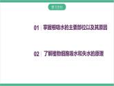 冀少版生物八上 3.2.2《根对水分的吸收》课件