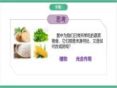 冀少版生物八上 3.3.1《光合作用的产物》课件