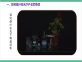 冀少版生物八上 3.3.1《光合作用的产物》课件