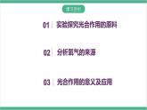 冀少版生物八上 3.3.2《光合作用的原料》课件