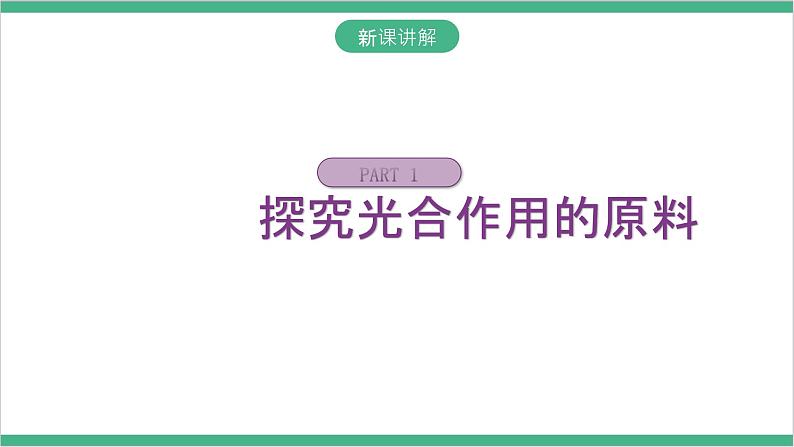 冀少版生物八上 3.3.2《光合作用的原料》课件05