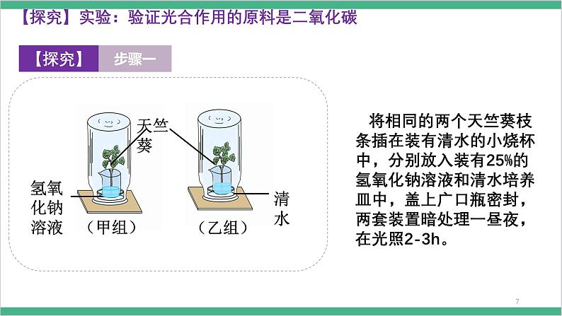 冀少版生物八上 3.3.2《光合作用的原料》课件08