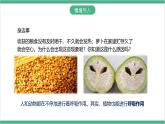 冀少版生物八上3.4.1《呼吸作用 》课件