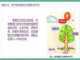 冀少版生物八上 3.5《绿色植物在生物圈中的作用》课件