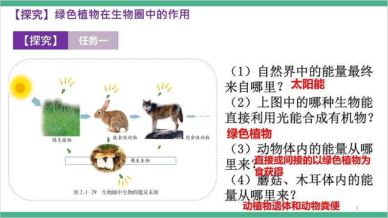 冀少版生物八上 3.5《绿色植物在生物圈中的作用》课件06