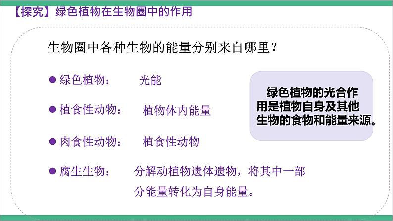冀少版生物八上 3.5《绿色植物在生物圈中的作用》课件07