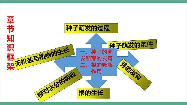 冀少版生物八上 第三单元第一、二章章末复习课件03