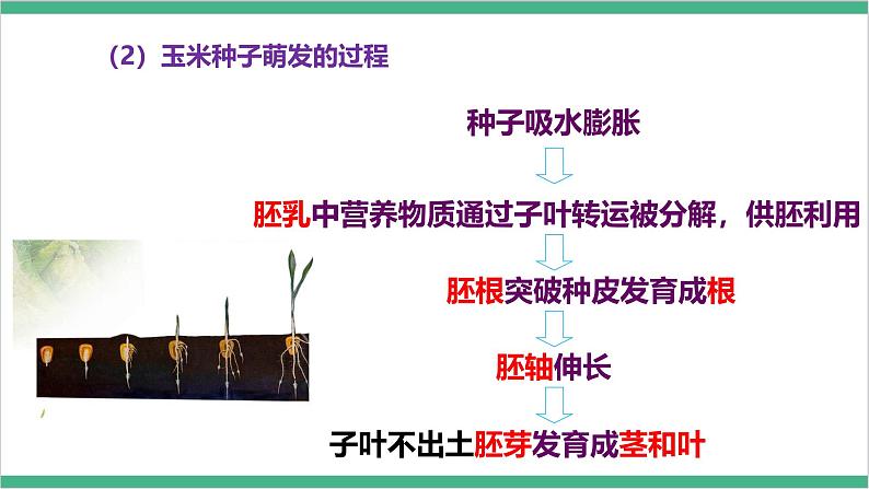 冀少版生物八上 第三单元第一、二章章末复习课件07