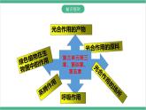冀少版生物八上 第三单元第三、四、五章章末复习课件