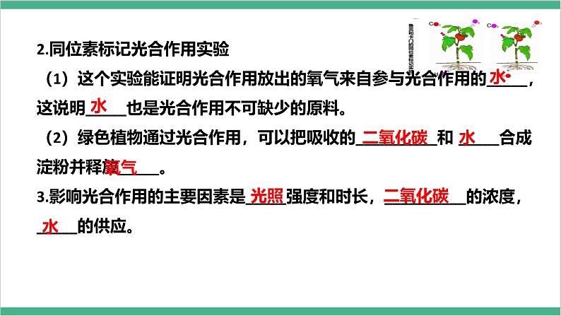 冀少版生物八上 第三单元第三、四、五章章末复习课件07