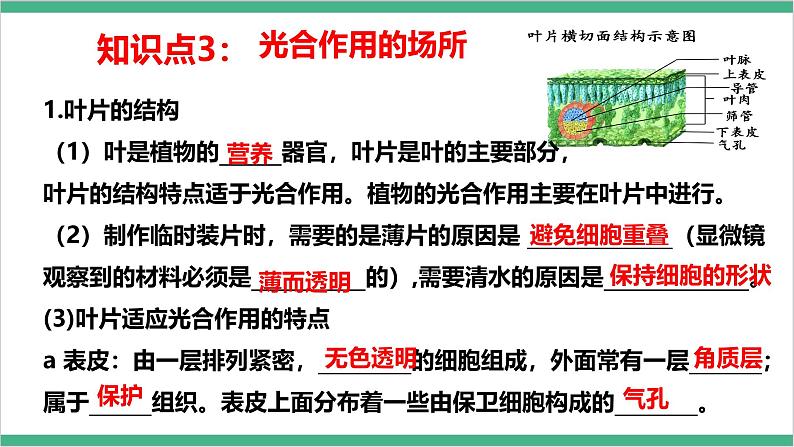 冀少版生物八上 第三单元第三、四、五章章末复习课件08