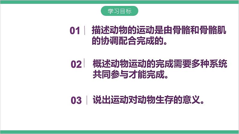 冀少版生物八上 4.1.2《运动的完成》课件04