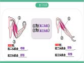冀少版生物八上 4.2.1《动物行为的特点》课件