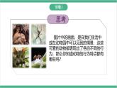 冀少版生物八上 4.2.1《动物行为的特点》课件