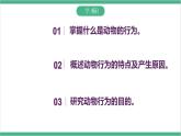 冀少版生物八上 4.2.1《动物行为的特点》课件