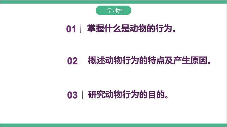 冀少版生物八上 4.2.1《动物行为的特点》课件05