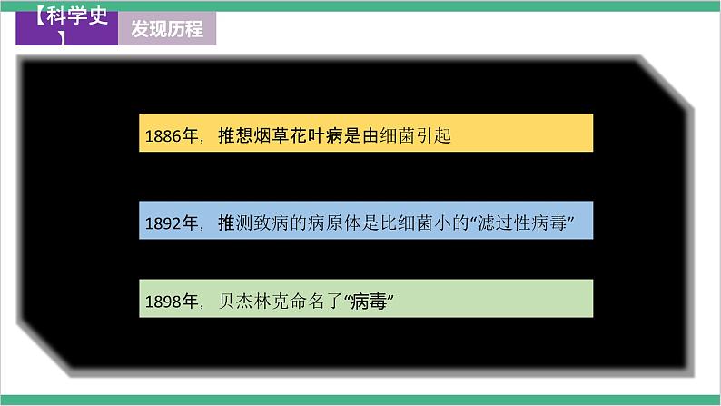 冀少版生物八上 5.1.2《病毒》课件08