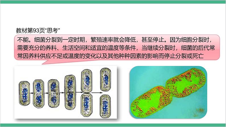 冀少版生物八上5.1.1《细菌》 第2课时 课件06