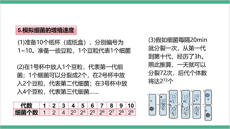 冀少版生物八上5.1.1《细菌》 第2课时 课件07