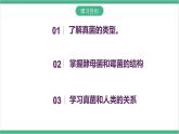 冀少版生物八上 5.2.1《酵母菌和霉菌》课件