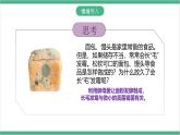 冀少版生物八上 5.2.1《酵母菌和霉菌》课件