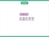 冀少版生物八上 5.2.1《酵母菌和霉菌》课件