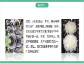 冀少版生物八上 5.2.2《食用真菌》课件