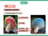 冀少版生物八上 5.2.2《食用真菌》课件