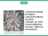冀少版生物八上 5.4《微生物在生物圈中的作用》课件