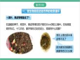 冀少版生物八上 5.4《微生物在生物圈中的作用》课件