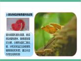 冀少版生物八上 5.4《微生物在生物圈中的作用》课件