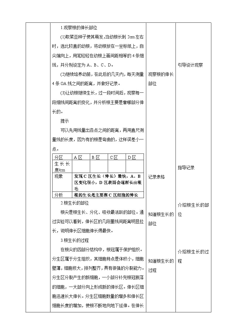 【新课标】冀少版生物八上3.2.1《根的生长》 课件+教案+学案03