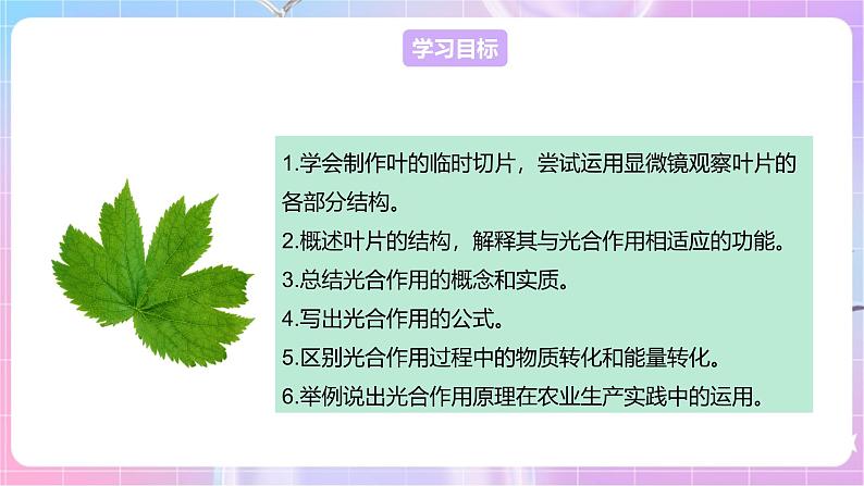 【新课标】冀少版生物八上3.3.3《光合作用的场所》课件+教案+学案02