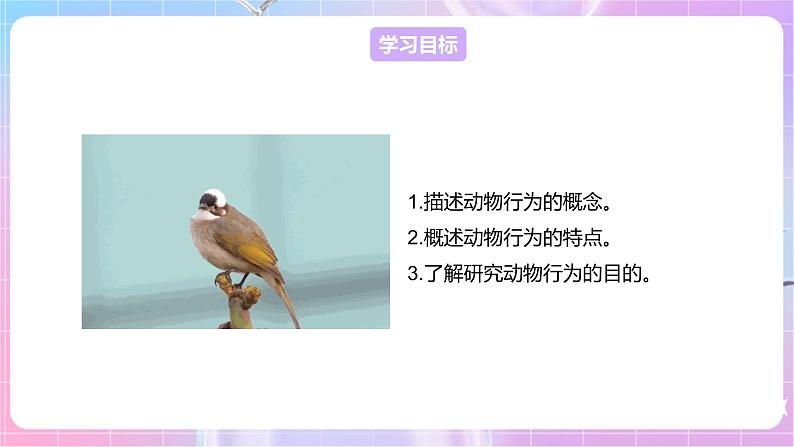 【新课标】冀少版生物八上4.2.1《动物行为的特点》课件+教案+学案02